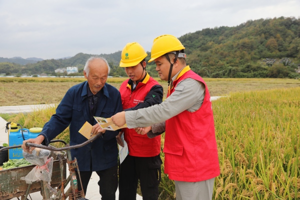 國網臺州市黃巖區(qū)供電公司：初冬巡線護豐收 為農用電添保障